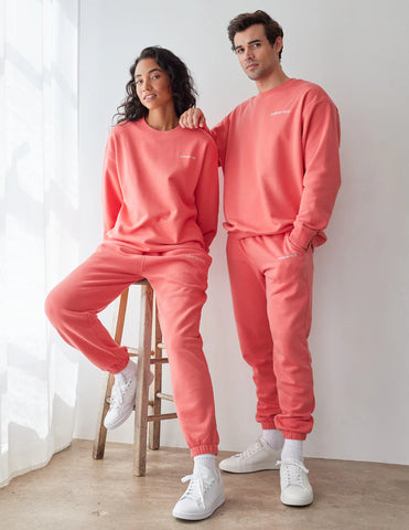 Canyon Color Crewneck Sweatshirt for Everyday Relaxed Style