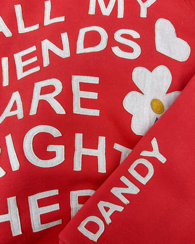 Vintage Stitched Friendship Hoodie in Red for Cozy Everyday Style