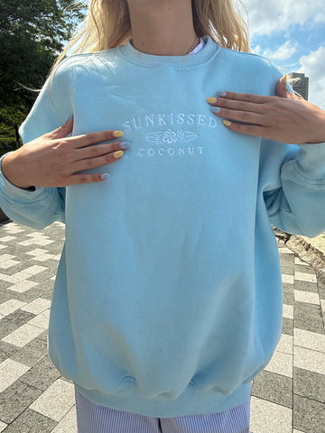 Icy Blue Embroidered Sweatshirt for a Cozy & Effortless Look