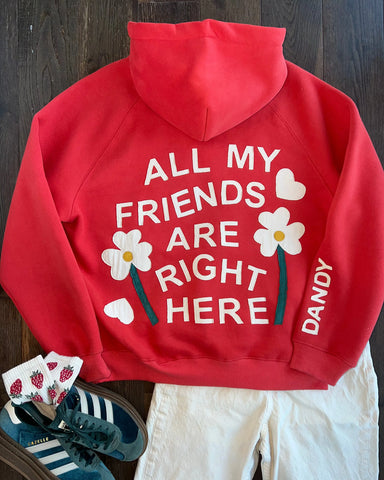 Vintage Stitched Friendship Hoodie in Red for Cozy Everyday Style